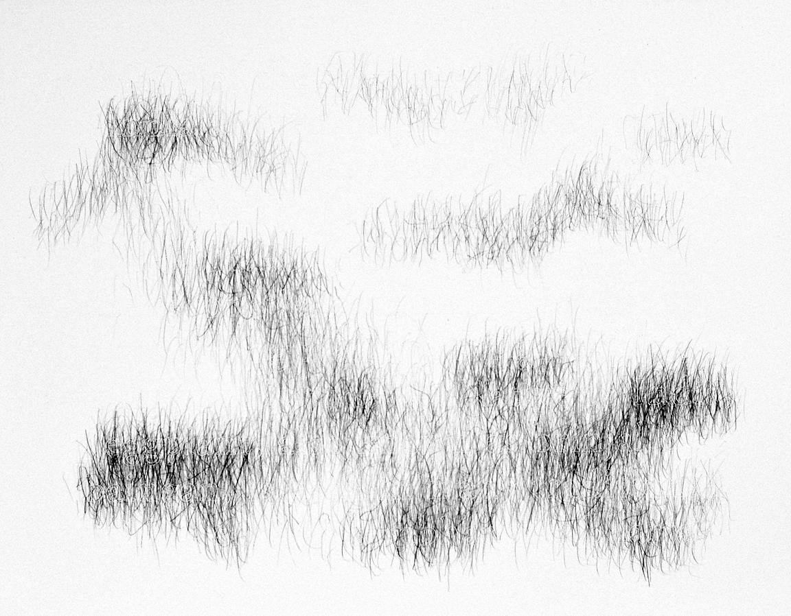 Joanne Aono, Home Fields, drawing, India, Chickpeas