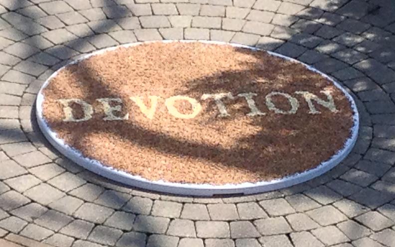 Joanne Aono, seed, site specific, Mary Oliver, Devotion