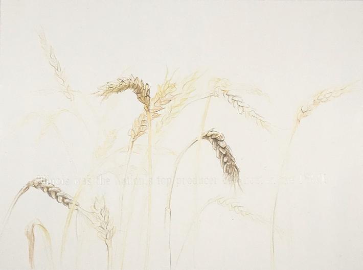 Wheat