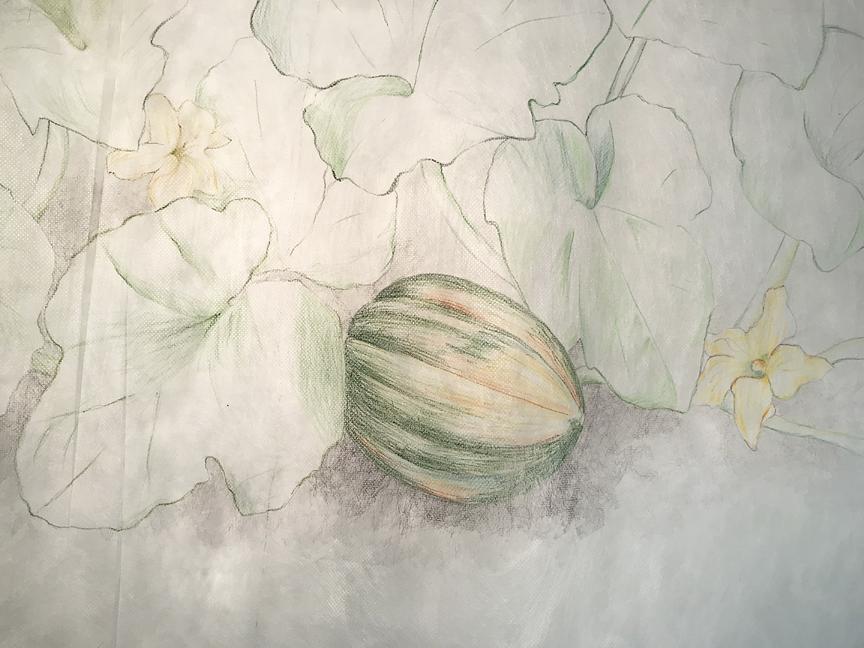 Detail, Three Sisters - Squash