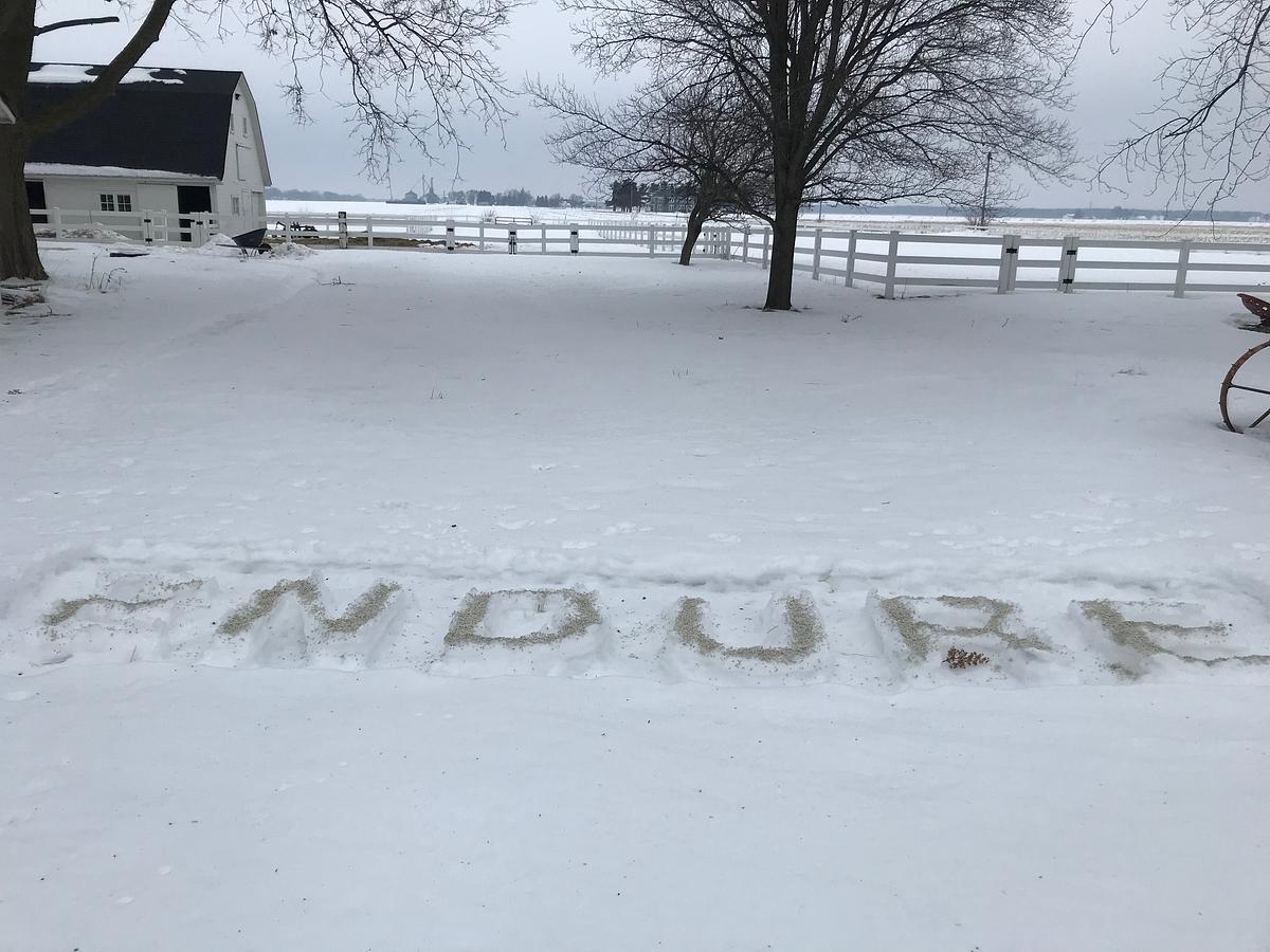 ENDURE - Day Five