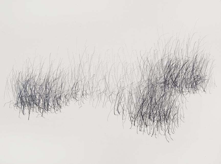 Joanne Aono, Home Fields, drawing