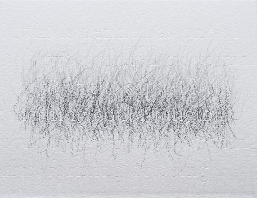 joanne Aono Twin Futago Hashi Graphite Drawing