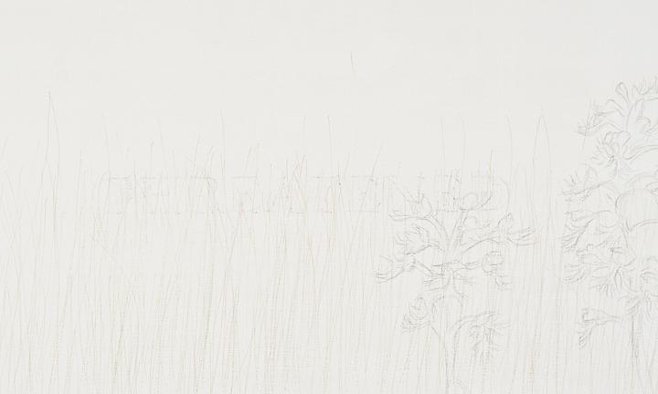 Detail, Eastern Prairie Fringed Orchid