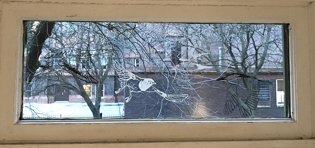 Wetlands Elegy Transom