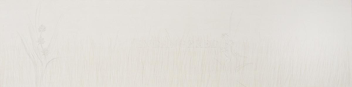 American Bur Reed