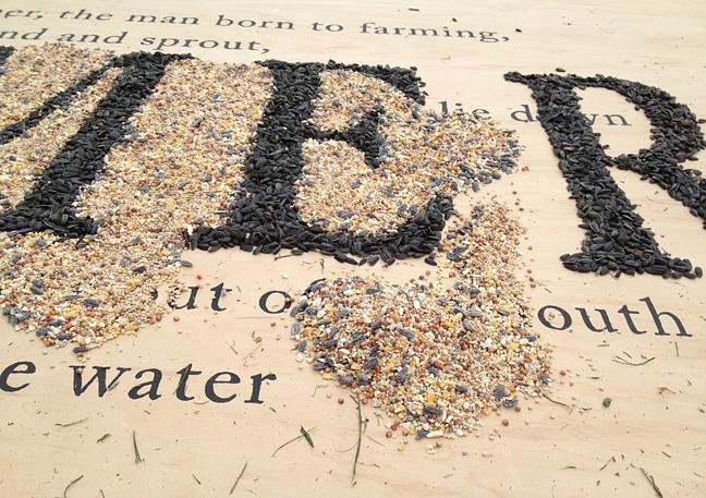 Joanne Aono, The Farmer, Seed, Perry Farm