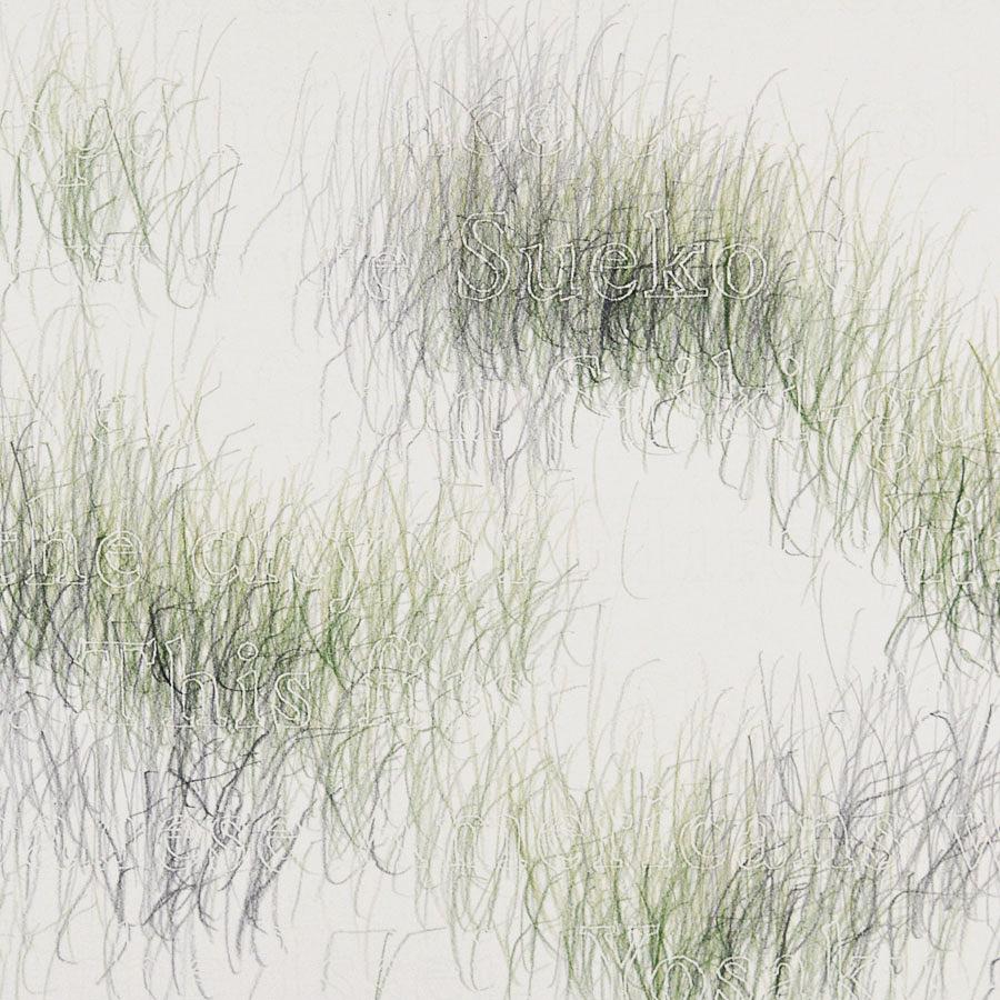 Joanne Aono, Green Fields, drawing