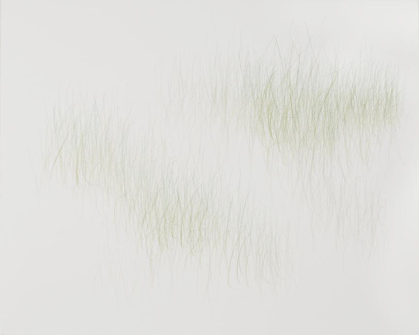 Joanne Aono, Green Fields, drawing, Immigrants