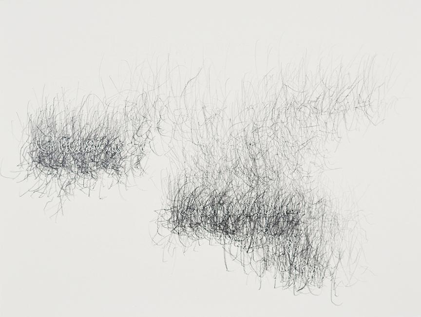Joanne Aono, Home Fields, drawing, Colombia, Guasca