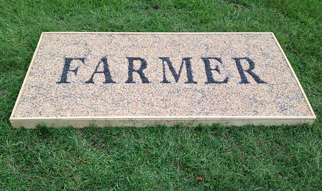 Joanne Aono, The Farmer, Seed, Perry Farm