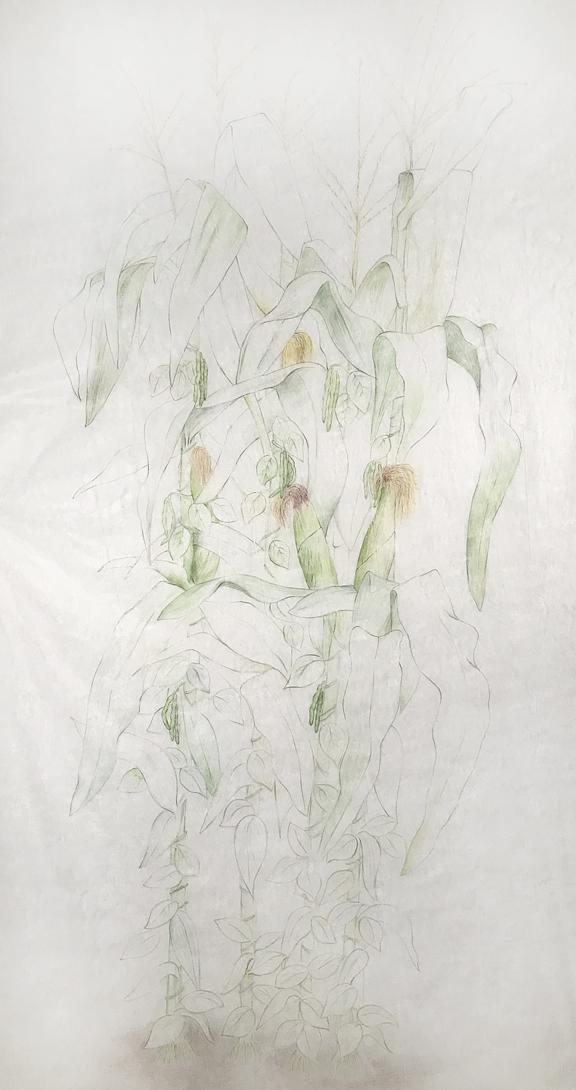 Three Sisters - Corn and Beans
