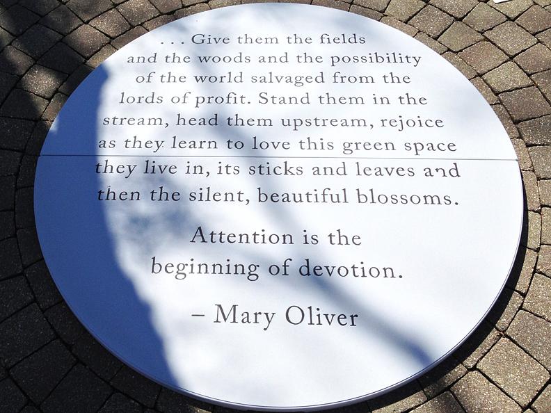 joanne aono, mary oliver, attention is the beginning of devotion