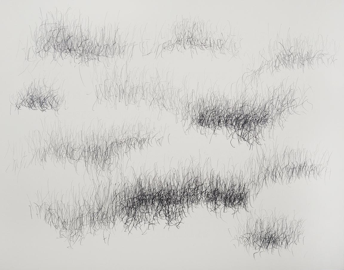 Joanne Aono, Home Fields, drawing, Mexico, Corn