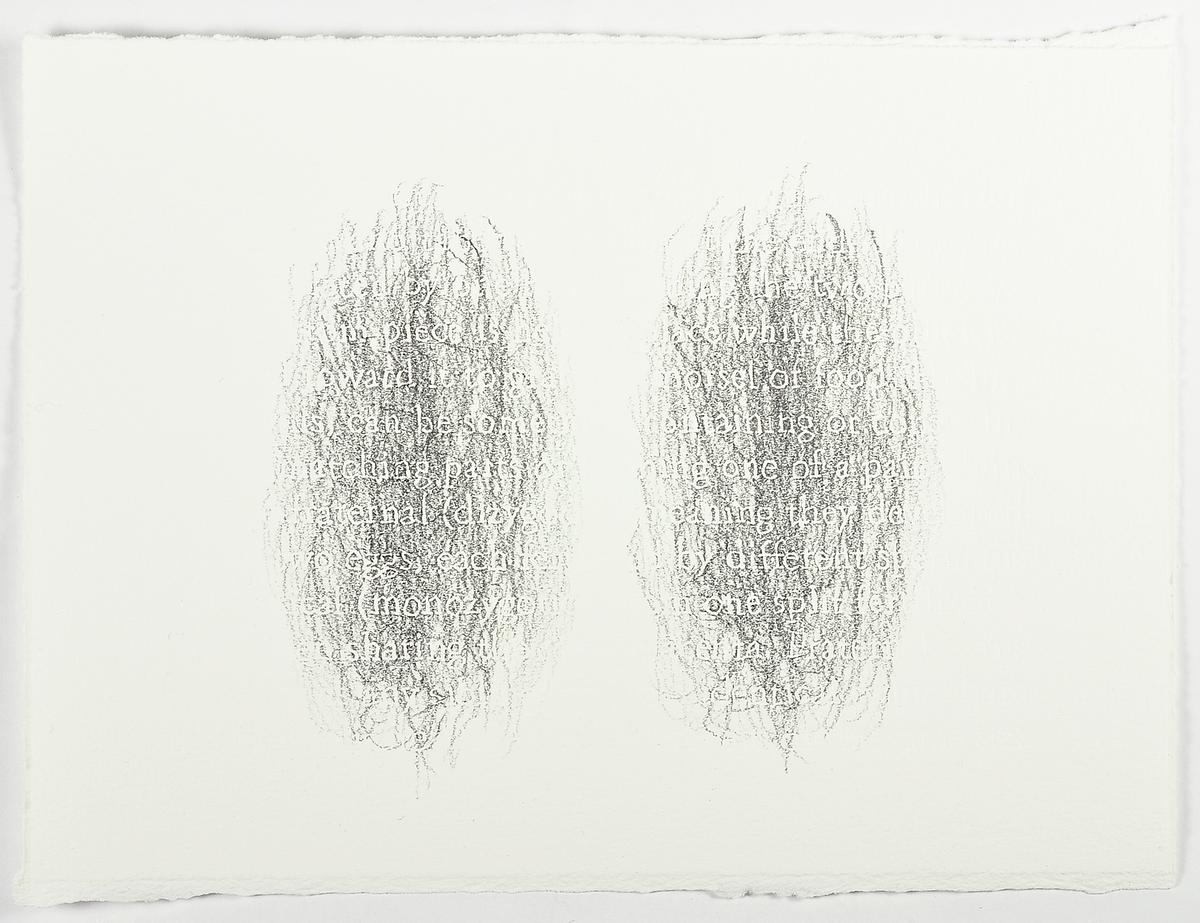 Hashi Twin 15