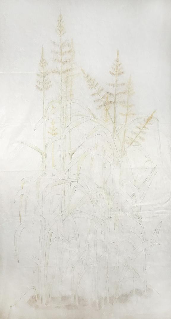 Wild Rice