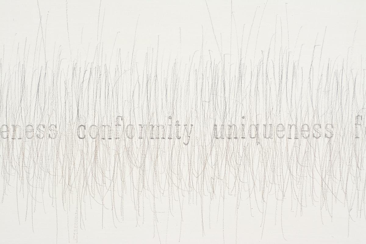 Detail, Paradox: integration - singularity