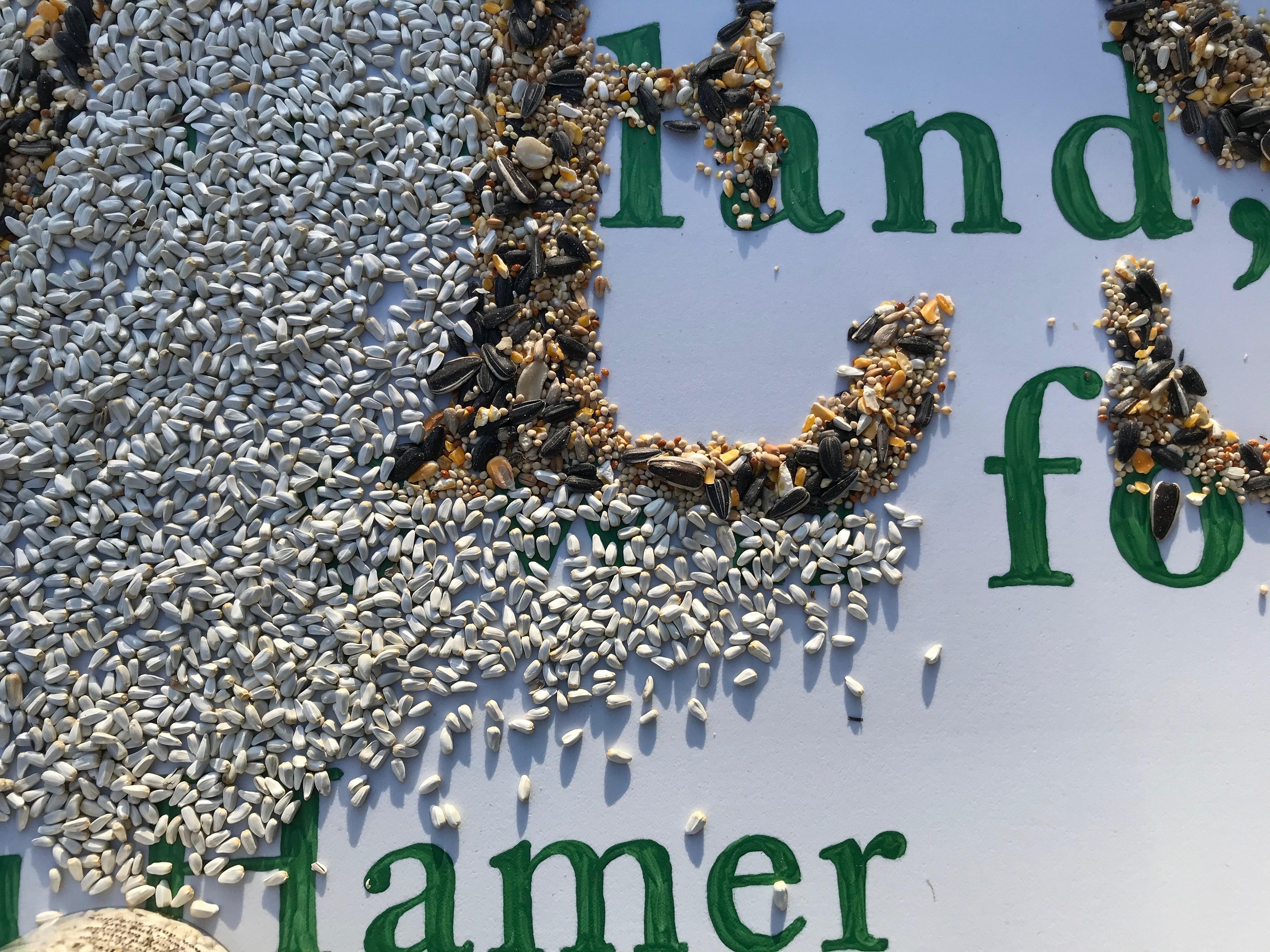 Detail, Harvest