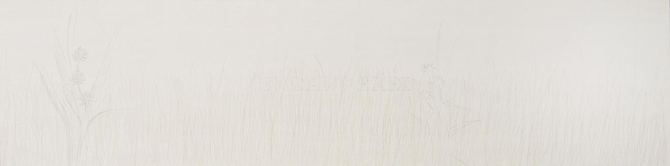 American Bur Reed