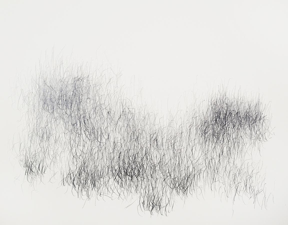 Joanne Aono, Home Fields, drawing, Ireland, potato
