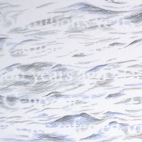 Joanne Aono Lake Michigan crinoid drawing