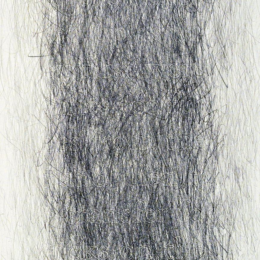 joanne Aono Twin Futago Hashi Graphite Drawing