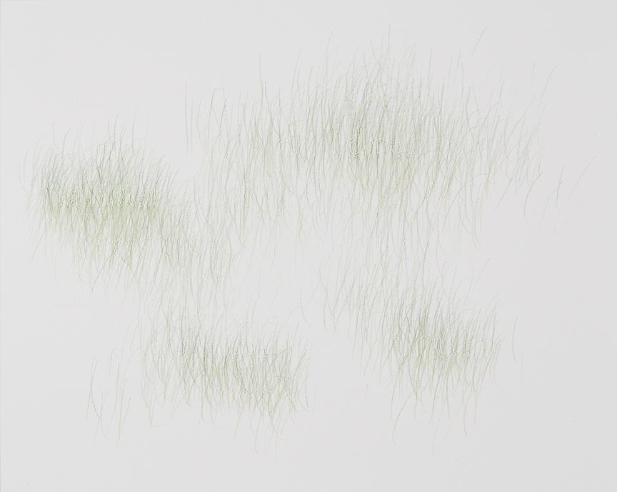 Joanne Aono, Green Fields, drawing, Sansei