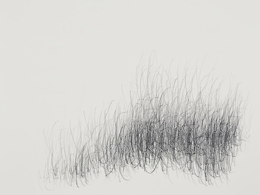 Joanne Aono, Home Fields, drawing, Ethiopia, Teff