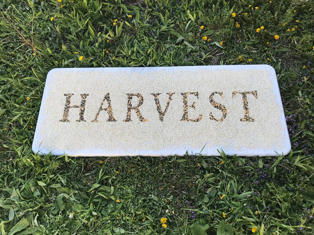 Harvest