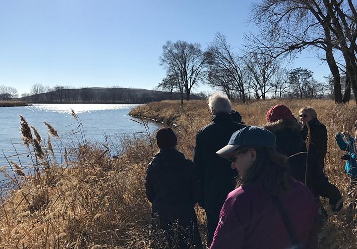 Wetlands Big Marsh Hike