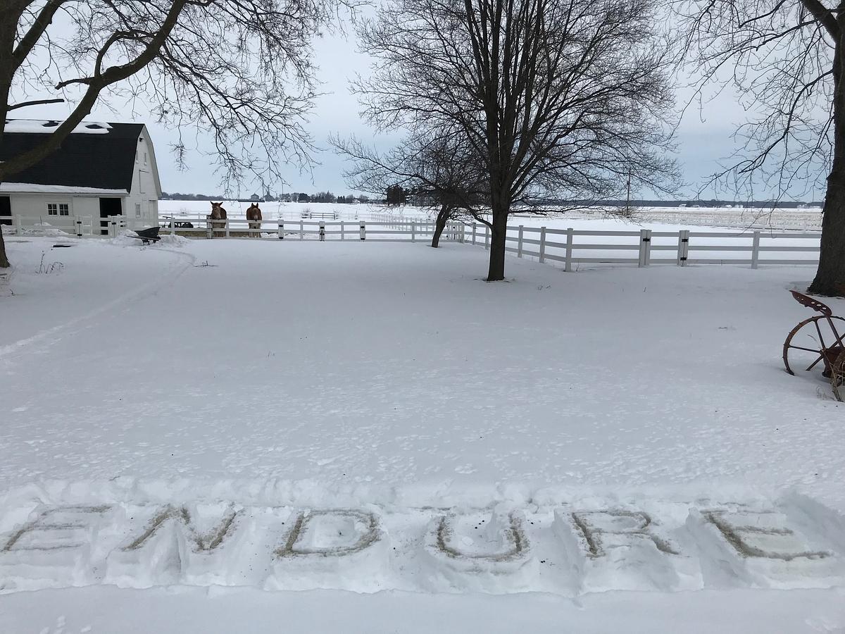ENDURE - Day Four