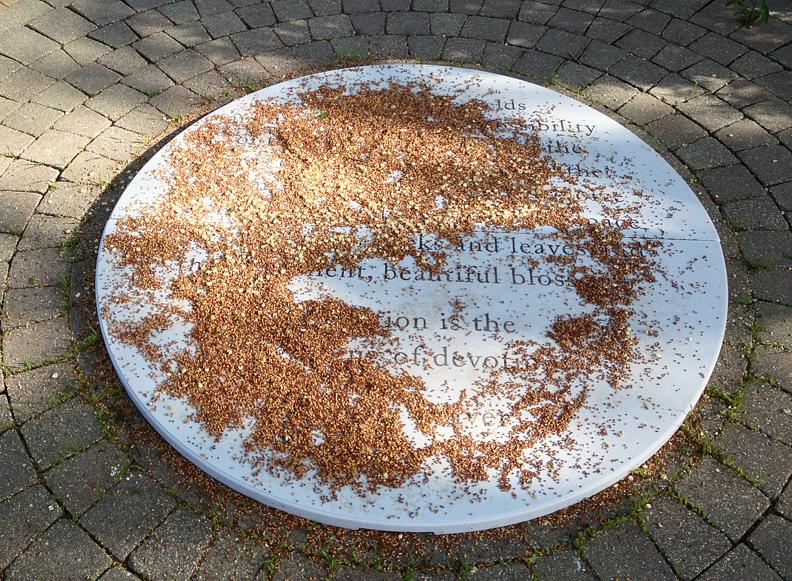 Joanne Aono, seed, installation
