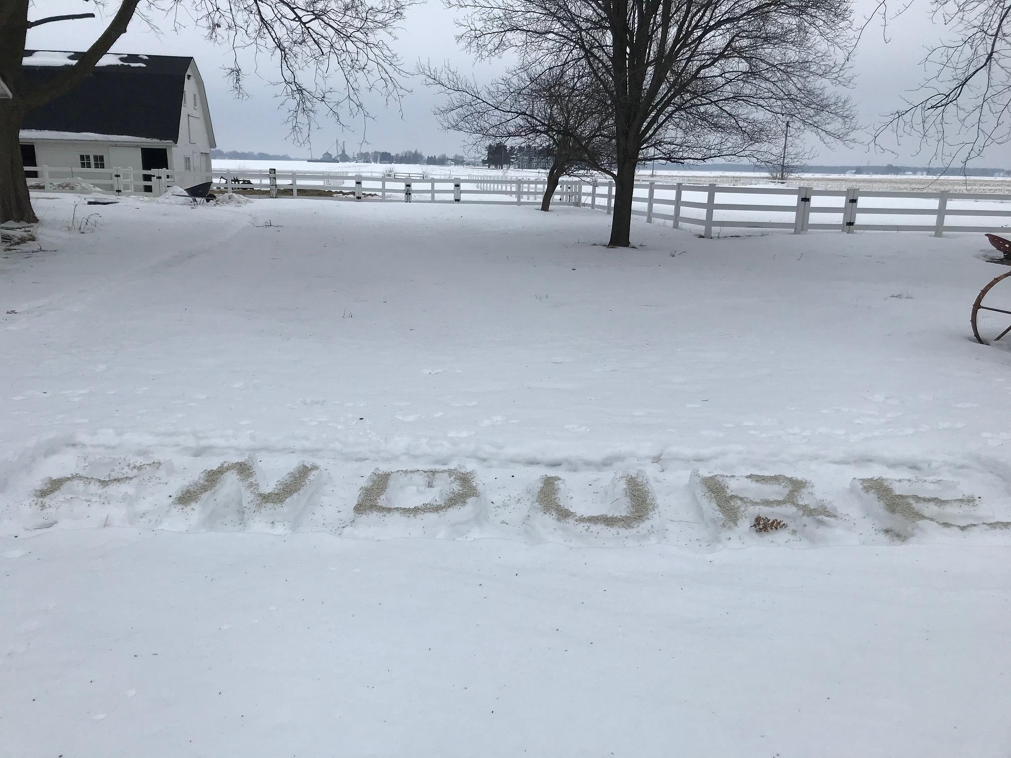 ENDURE - Day Five