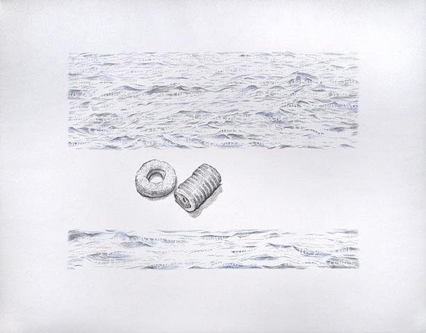 Joanne Aono Lake Michigan crinoid drawing