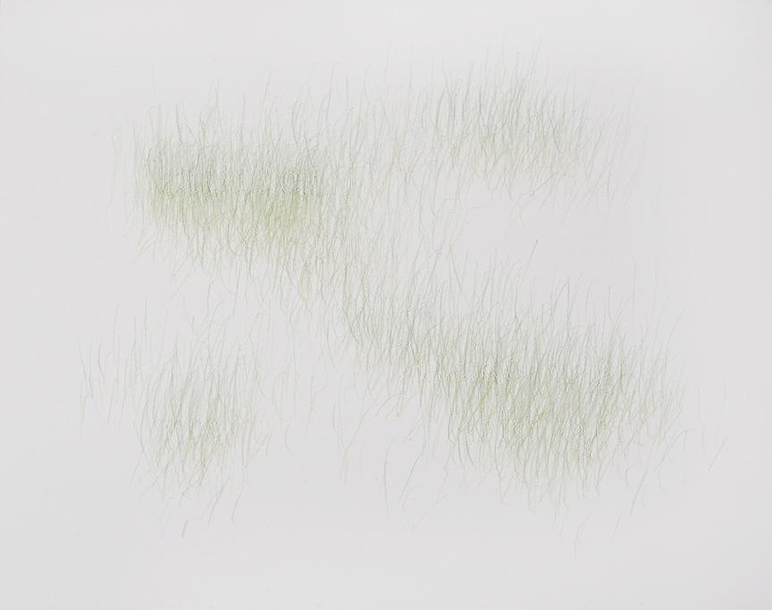 Joanne Aono, Green Fields, drawing, Laborer