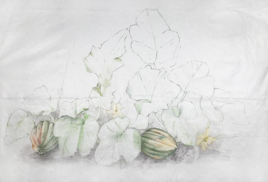 Three Sisters - Squash II