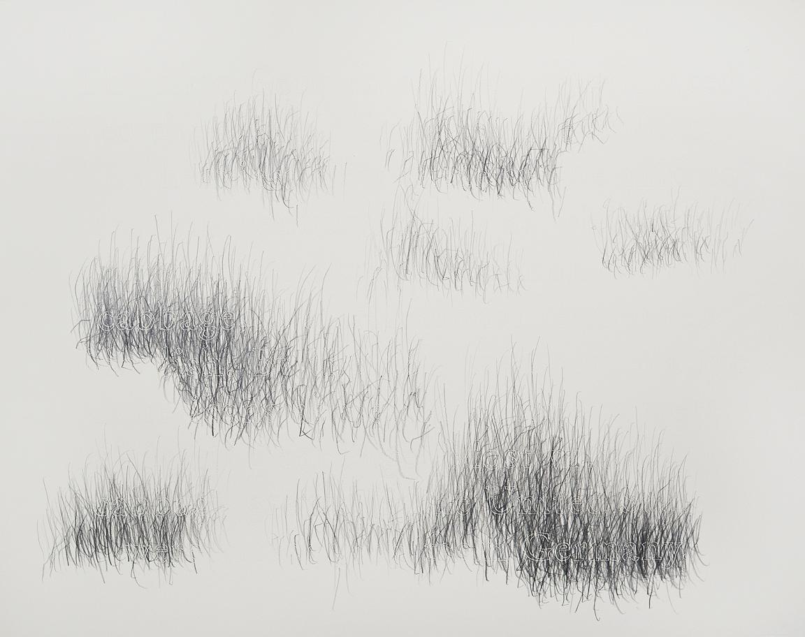Joanne Aono, Home Fields, drawing, Germany, Cabbage