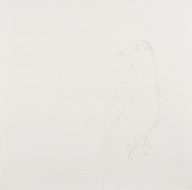Passenger Pigeon (Martha)