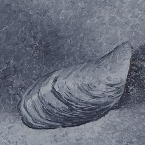 Joanne Aono Zebra Mussel Lake Michigan Oil Painting
