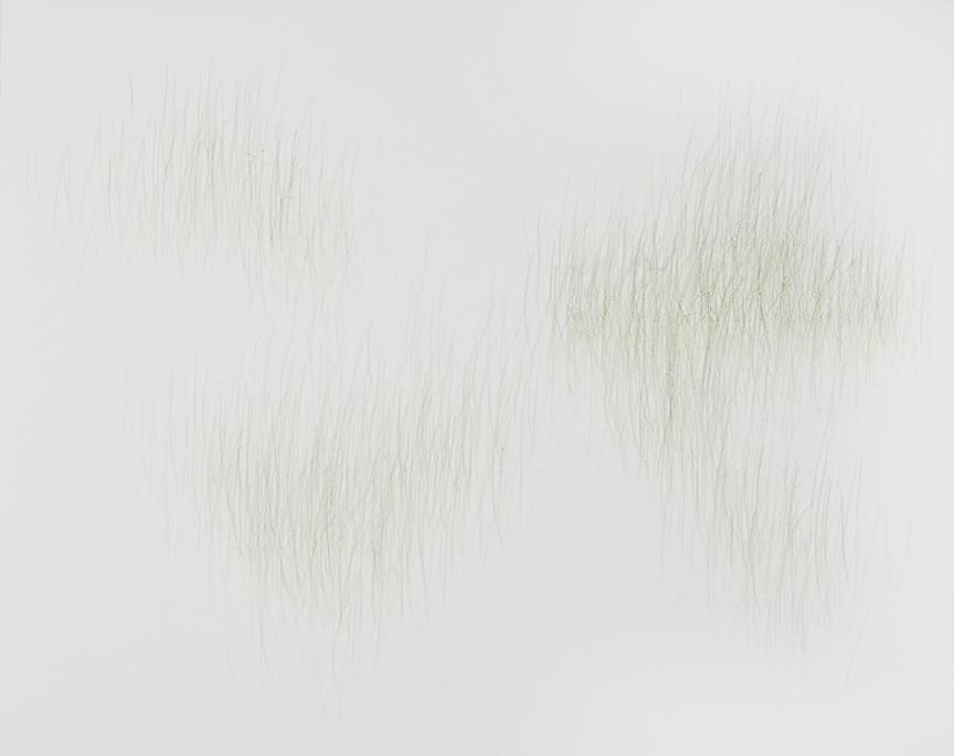 Joanne Aono, Green Fields, drawing, Generations